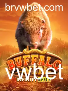 BuffaloWin: Descrição, Regras e Impacto Atual